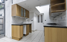 Lower Darkley kitchen extension leads
